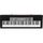 CASIO CTK-1500 Clavier standard 61 touches