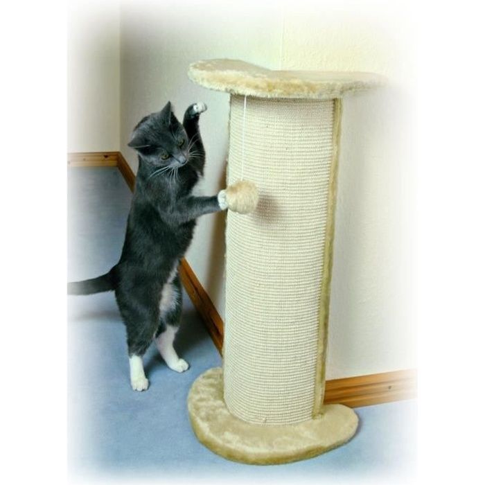 griffoir chat vertical