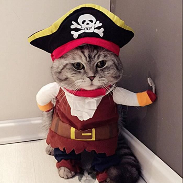 déguisement halloween chat pirate