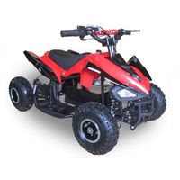 QUAD - KART - BUGGY Quad électrique PRESTIGE 800w pour enfant. Puissan QUAD - KART - BUGGY Quad électrique PRESTIGE 800w pour enfant. Puissan