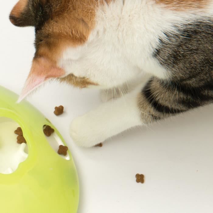 CAT IT Toupie à régals Play - Pour chat