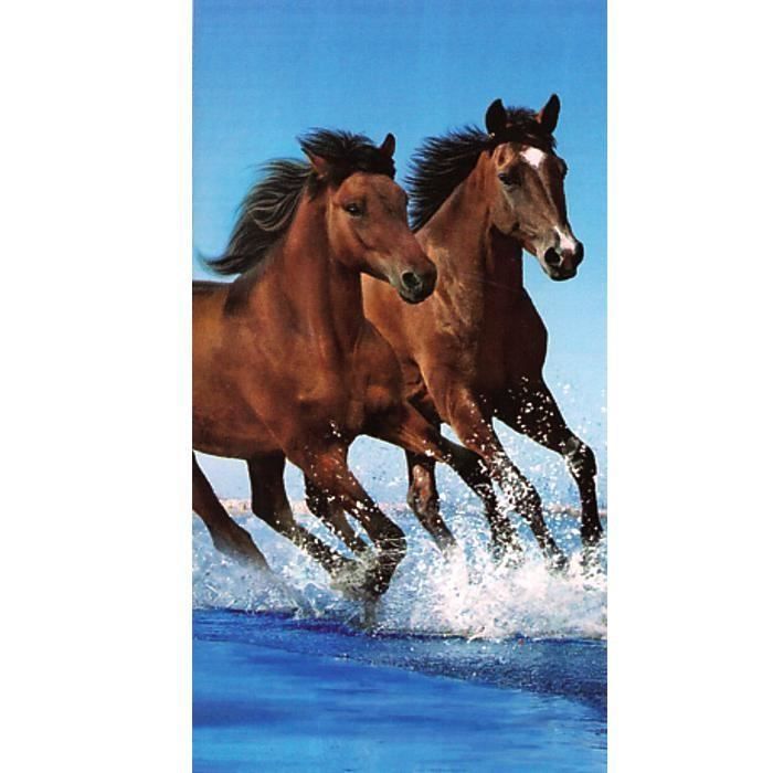 Serviette de plage Couple de Chevaux - Achat / Vente serviette de ... Serviette de plage Couple de Chevaux - Achat / Vente serviette de ...