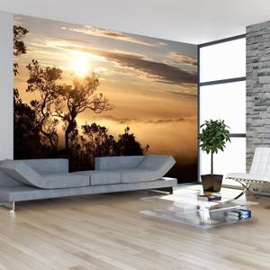  Poster  xxl  mural 350x245cm Achat Vente Poster  xxl  