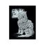 Mammut , 136002 , Carte à gratter argentée , 21 x 31 cm , chat sauvage et piano , Achat / Vente kit gravure Carte à gratter argentée , , Cdiscount