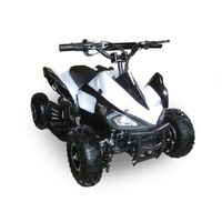 QUAD - KART - BUGGY Quad électrique PRESTIGE 800w pour enfant. Puissan QUAD - KART - BUGGY Quad électrique PRESTIGE 800w pour enfant. Puissan