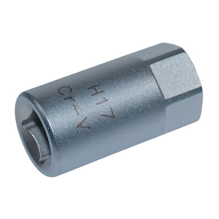 AUTOBEST Embout Vidange Mâle 6 Pans, Carré 3/8, 17mm