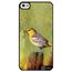 coque iphone 5 peinture coque iphone 5 peinture