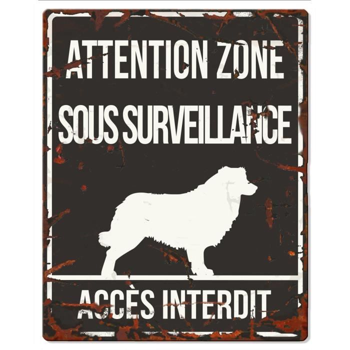 D&D Plaque Attention Chien Collie - Noir