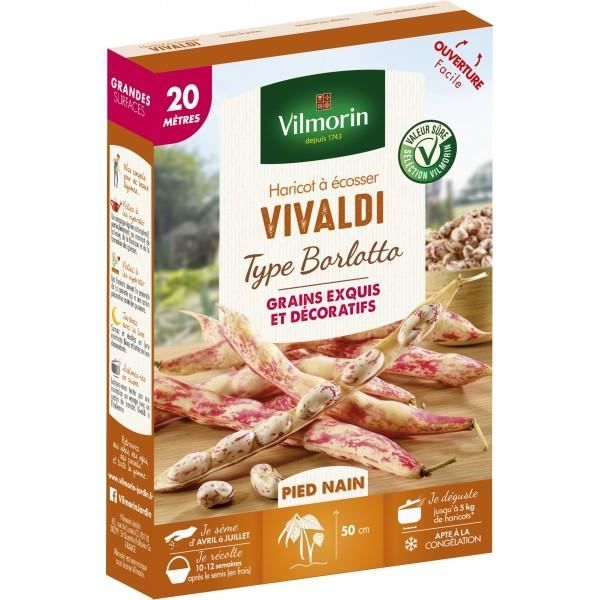 Semences pour haricot nain de la variete vivaldi - 20 m