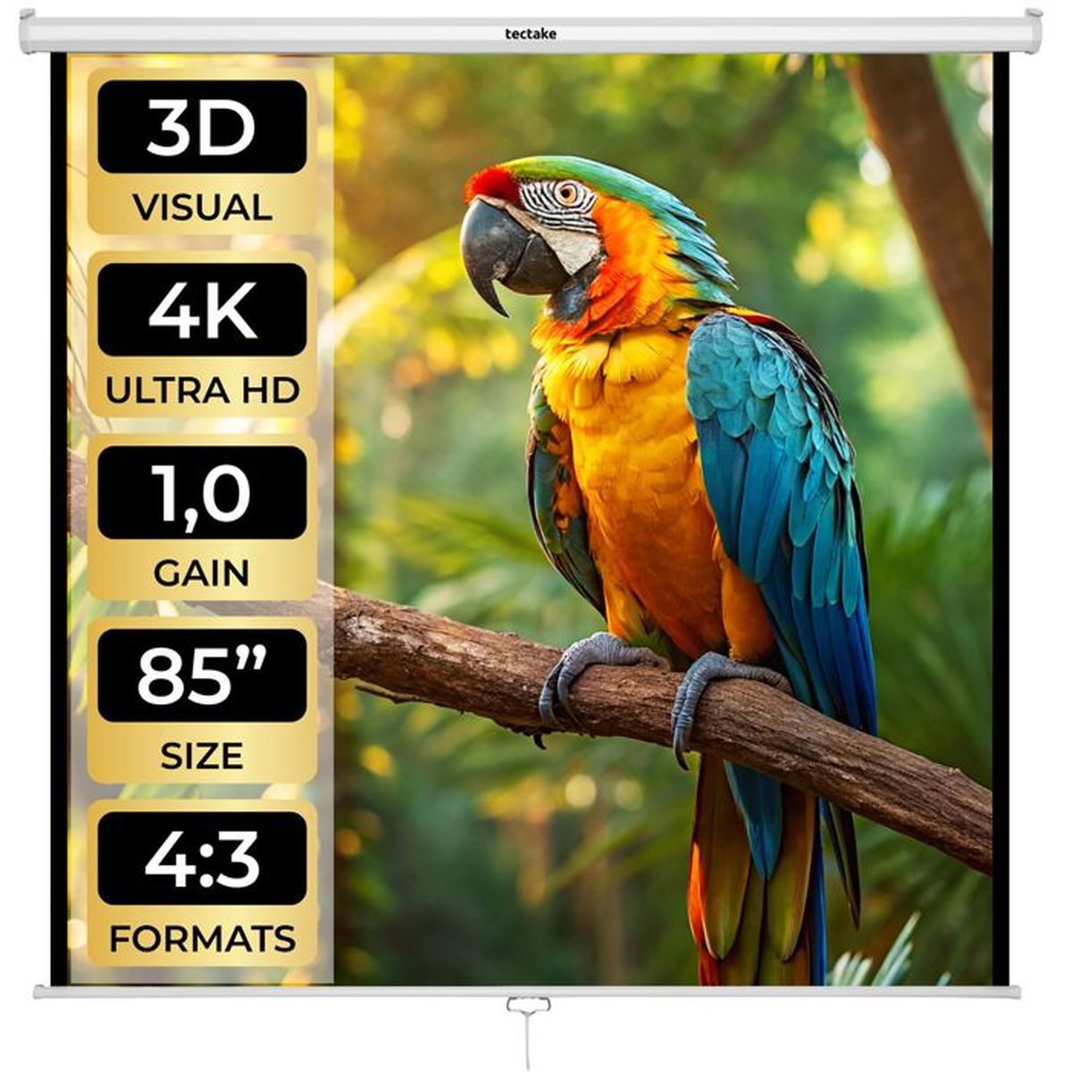 ecran de projection ecran de video projecteur to