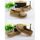 Femmes Casual Chaussures en Cuir Doux confortable