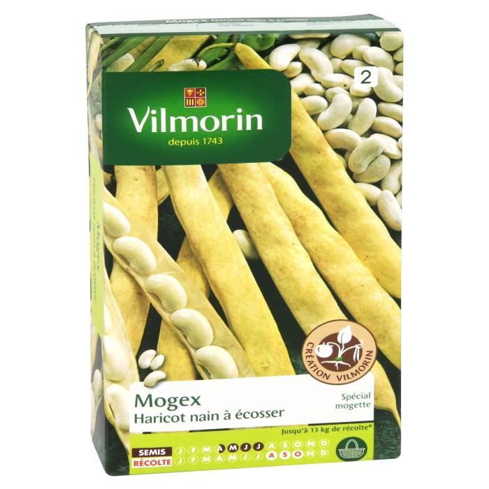 VILMORIN Haricot Mogex Sachet de graines - Création Vilmorin