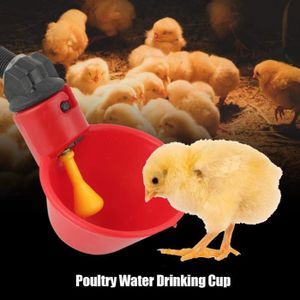 Poule Abreuvoir Achat Vente Pas Cher