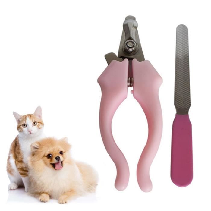 1 Set Pet Nail Ciseaux Petits Animaux Nail Griffe Toilettage Ciseaux Tondeuses Pour Chien Chat Oiseau Lapin