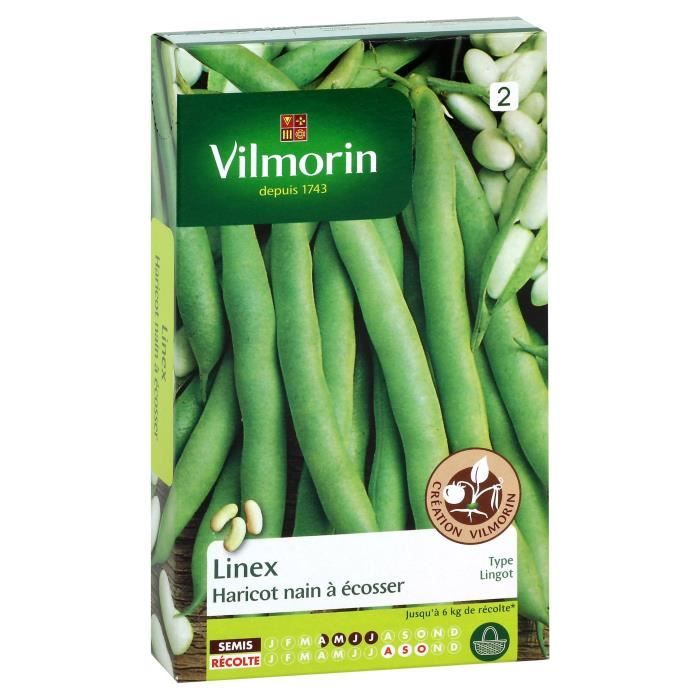 VILMORIN Haricot Linex Sachet de graines - Création Vilmorin