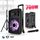 Enceinte sono mobile