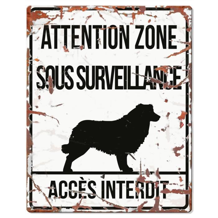 D&D Plaque Attention Chien Collie - Blanc