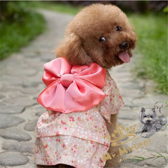 RÃ©sultats de recherche d'images pour Â«Â image chien en kimonoÂ Â»