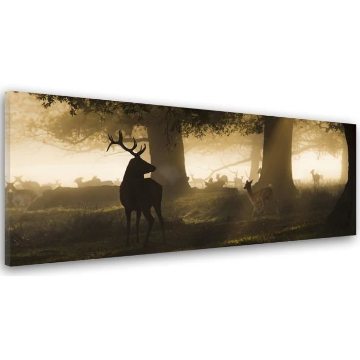 Tableau Déco Mural Impression Sur Toile 30x90 Nature Vue Forêt Cerf