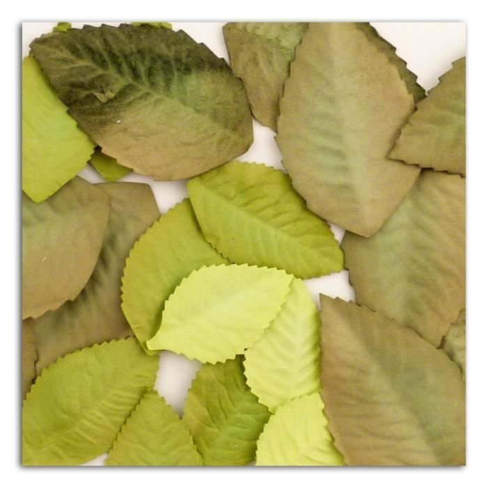TOGA Pack de 25 Feuilles Printemps Eté