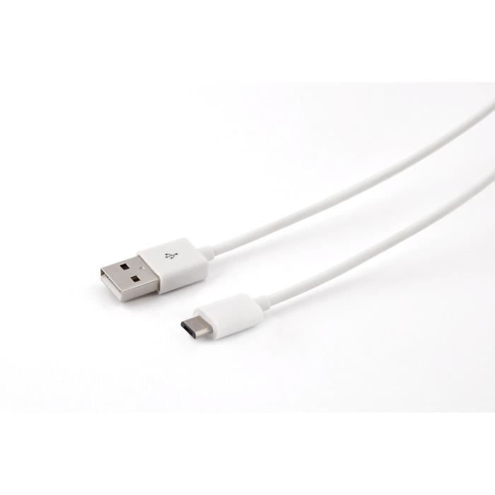 BLUESTORK Câble Micro USB vers USB