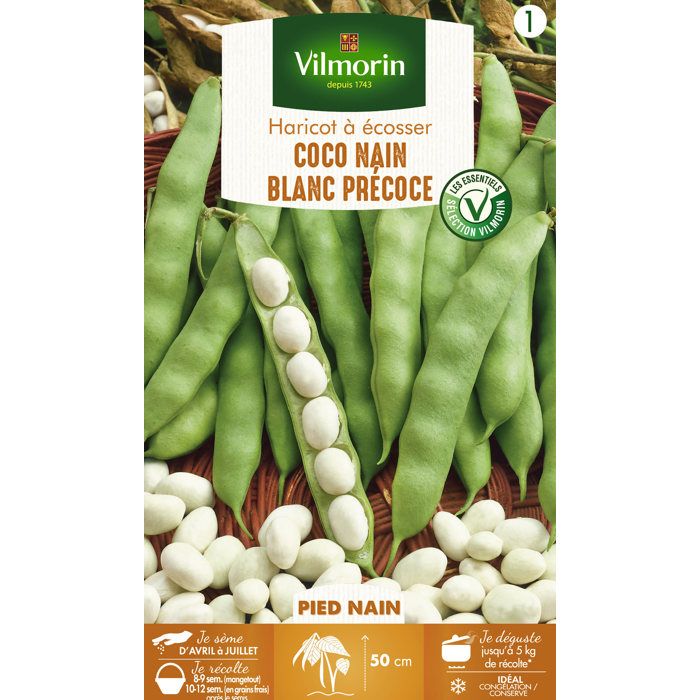 VILMORIN Haricot Coco nain Blanc precoce Sachet de graines
