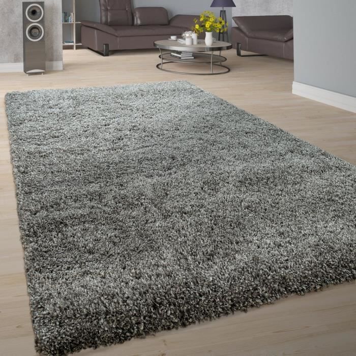 Tapis Shaggy Poils Hauts Tapis Poils Longs Moderne Doux