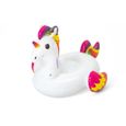 Accessoire gonflable plage