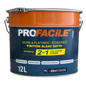 Peinture 2en1 Directe Sans Sous Couche Murs Plafonds Platres Fer