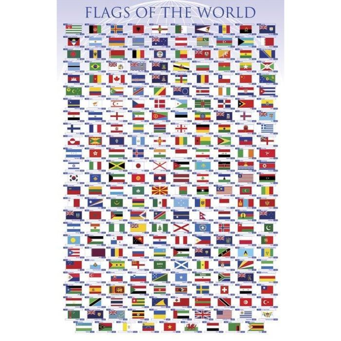 Illustration Carte du Monde avec drapeaux | Adobe