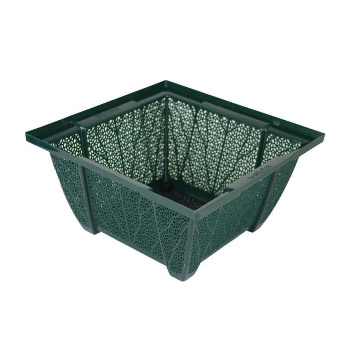 plante de bassin discount