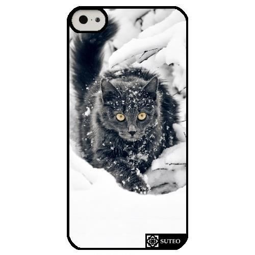 coque iphone 5 chaton coque iphone 5 chaton
