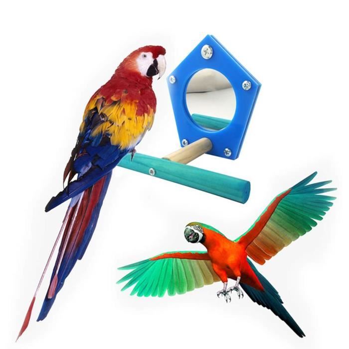 Oiseaux Jouet Miroir Jouet Cage Debout Perchoir Pour Perroquet Aras Africain Greys Perruche Calopsitte Cage à Cacatoès Accessoires