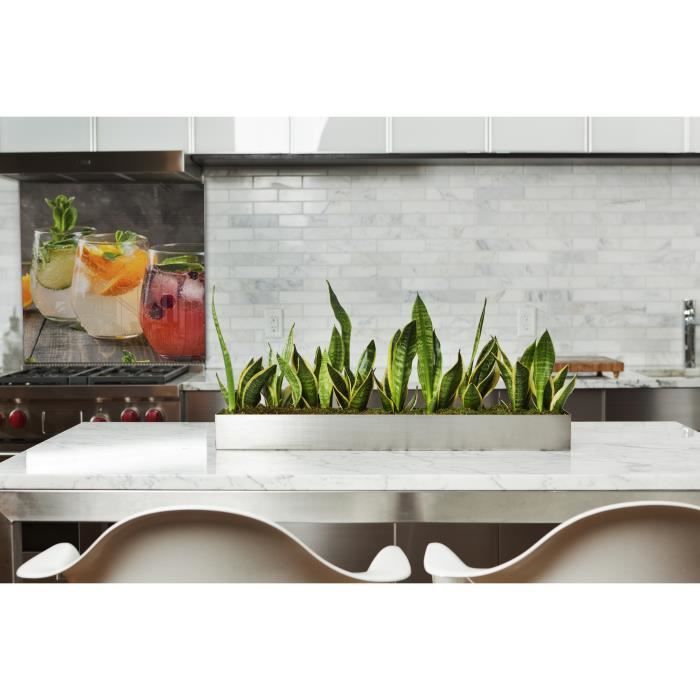 Fond de hotte "Trio cocktails" en Verre2