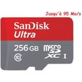 SanDisk Ultra MicroSDXC 256