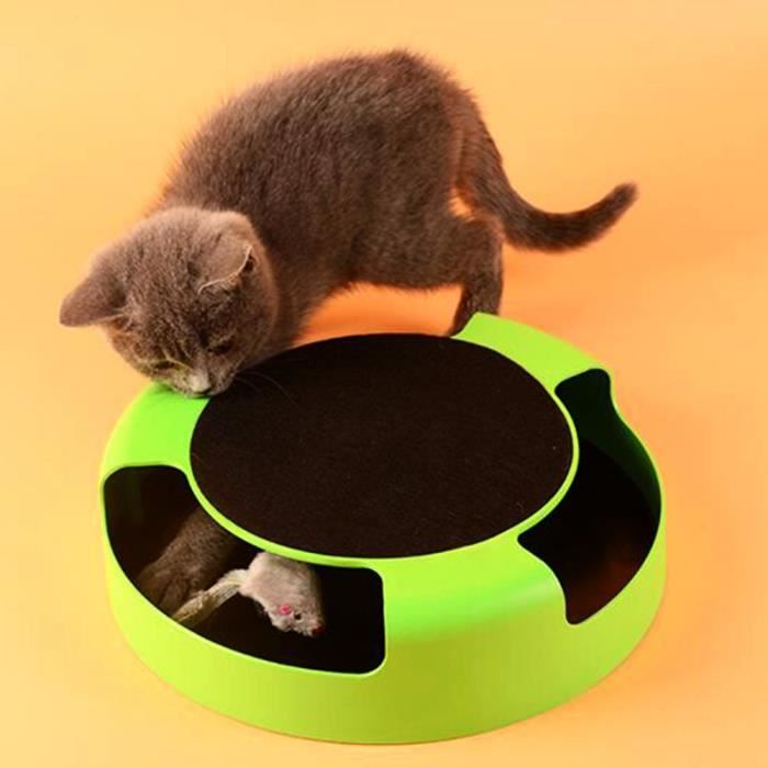 jouet pour chat animaux produits chaton jouets avec déménagement
