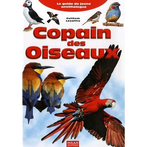 Copain des oiseaux   Achat / Vente livre Guilhem Lesaffre pas cher