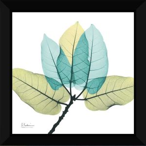 Tableau encadré 60x60 - Feuilles bleu vert