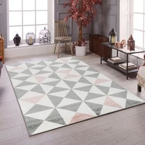 TAPIS FORSA Tapis de salon en polypropylène - 120 x 160 