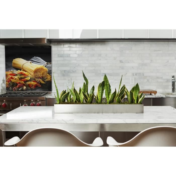 Fond de hotte "Variétés de pâtes2