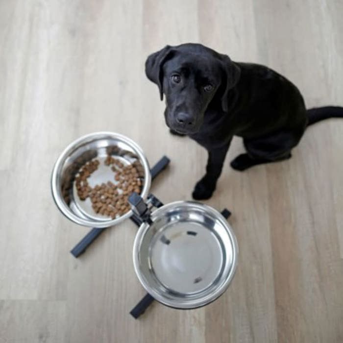 KERBL Bar alimentation avec écuelle pour chien - 2x2800ml