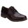 Chaussures Ledge Hill 2 Cap Oxford pour Hommes