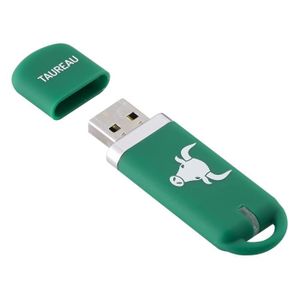 KEYOUEST Clé USB Taureau - 16 Go