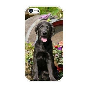 coque de iphone 4 labrador coque de iphone 4 labrador