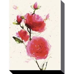 Impression Sur Toile Dune Fleur Rouge 60 X 80cm Achat