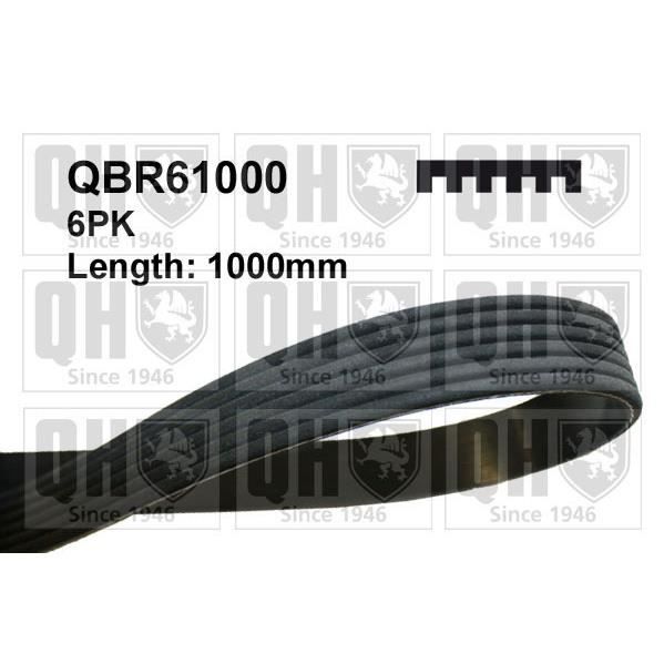 QUINTON HAZELL Courroie d'entraînement QBR61000