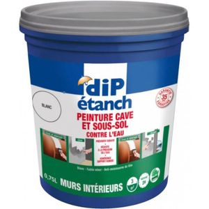 Peinture Contre L Humidite Achat Vente Pas Cher