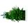Tableau Nature Panoramic avec Plantes stabilisées