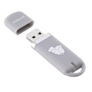 KEYOUEST Clé USB Gémeaux - 16 Go
