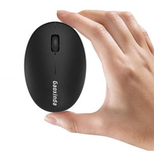 petite souris informatique petite souris informatique